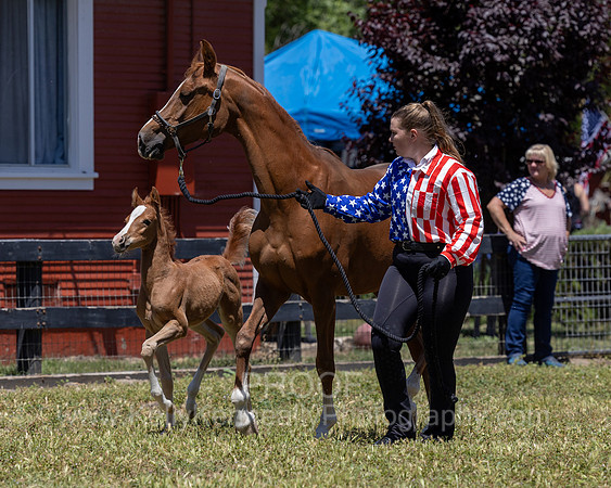 ShermanRanch0524_1681