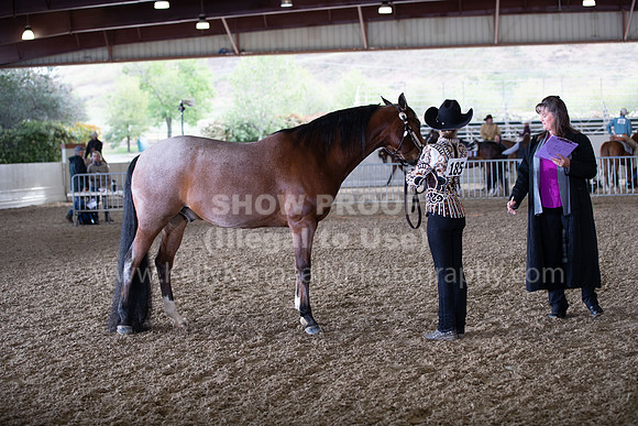 AHANC22_WedAM_0018