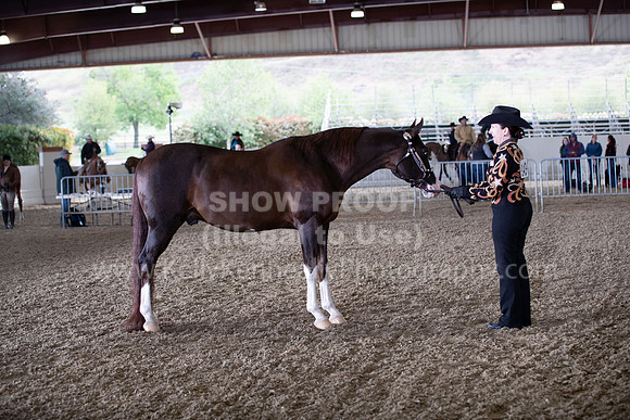 AHANC22_WedAM_0008