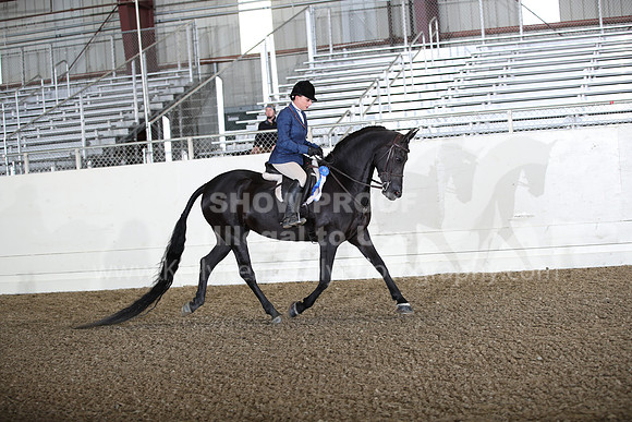 AHANC22_WedAM_0073