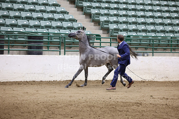 R322_CH _Sat_Class327_9093