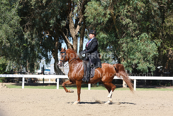 DAHA_FF22_1331