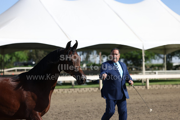DAHA22_Fri_1504