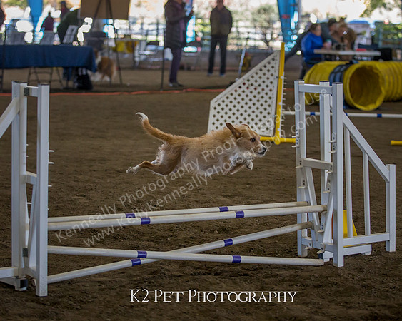 SCAC_Nov17Day3_8709