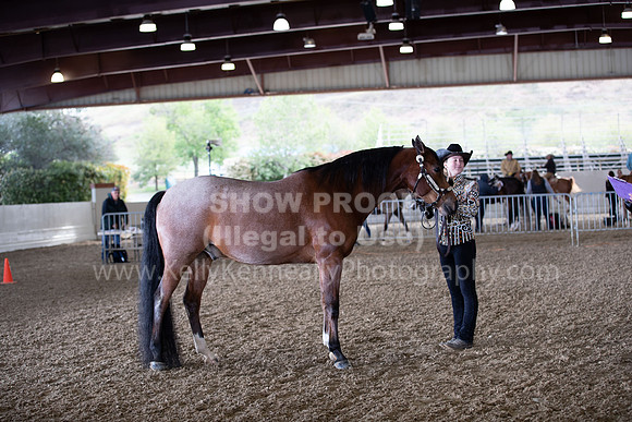 AHANC22_WedAM_0014