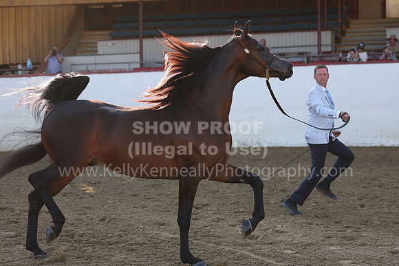R2_22_Thurs_6617