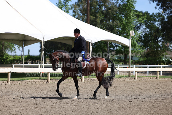 DAHA22_Thurs_0794