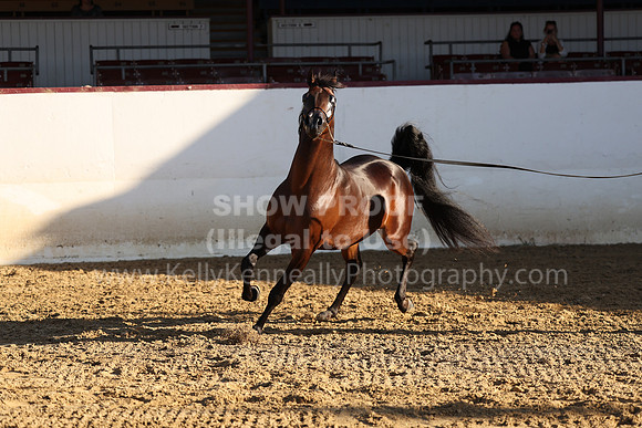 R2_22_Thurs_6797
