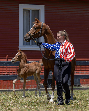 ShermanRanch0524_1912