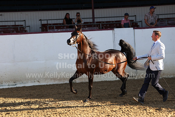 R2_22_Thurs_6783