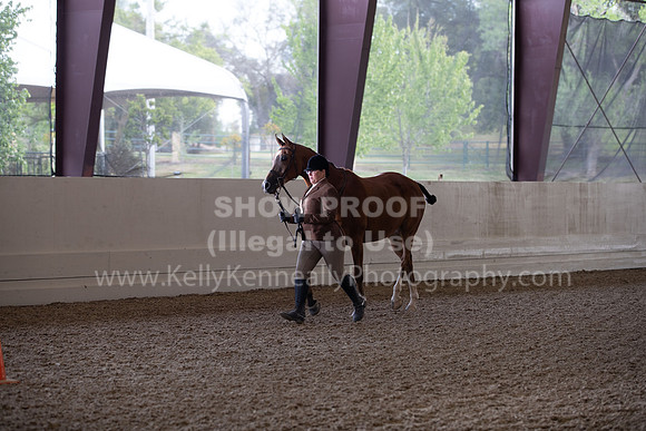 AHANC22_WedAM_0022