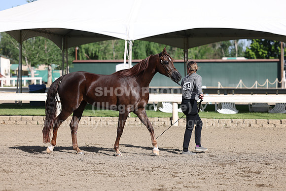DAHA22_Fri_1560