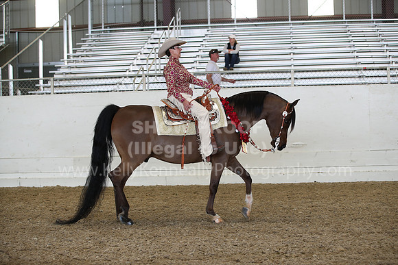 AHANC22_Fri_2009
