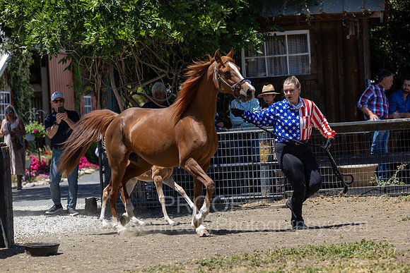 ShermanRanch0524_1438