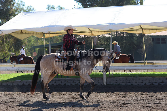 DAHA_FF22_4184