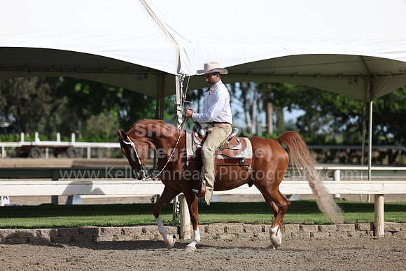 DAHA22_Thurs_0576