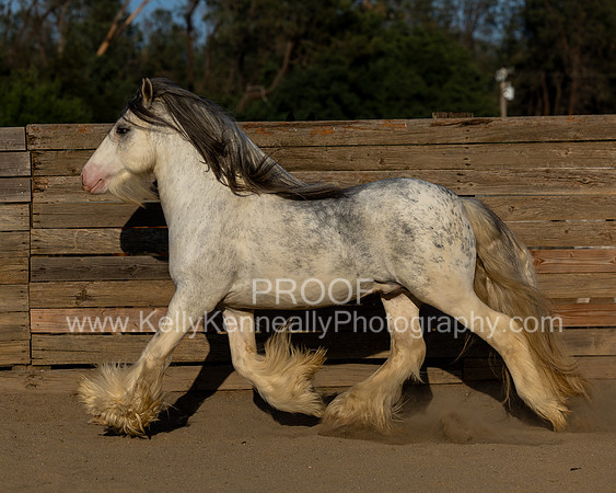 ThunderMay25_3308
