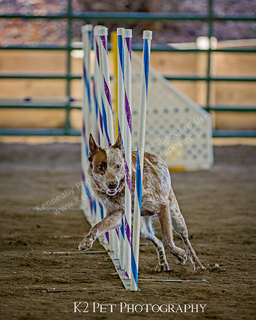 SCAC_Nov17Day3_8856