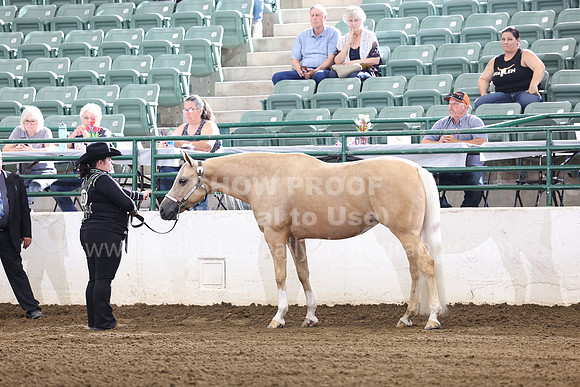 R322_CH_Thurs_2700