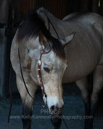 Kellie&Dusty22_0019