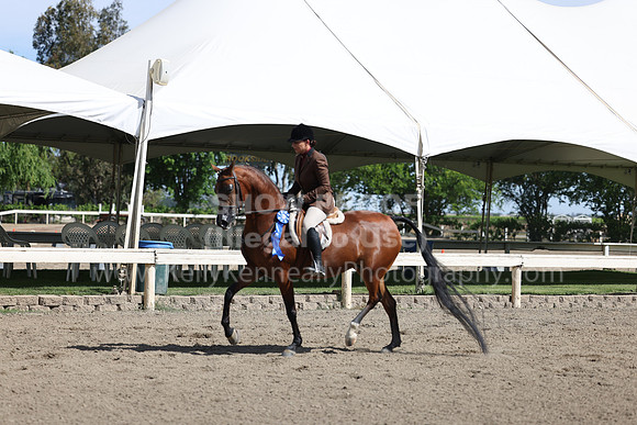DAHA22_Thurs_0708