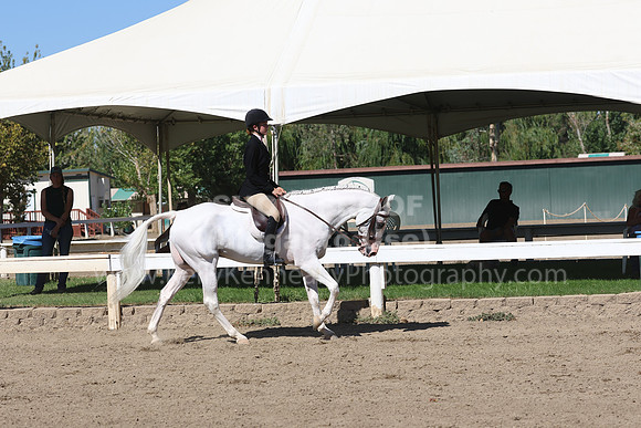 DAHA_FF22_2584