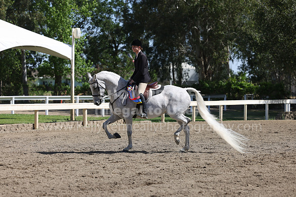 DAHA22_Sun_3411