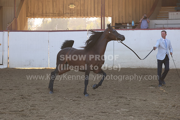 R2_22_Thurs_6700
