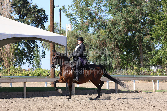 DAHA_FF22_1558