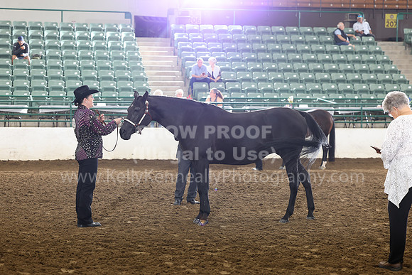 R322_CH_Thurs_2360