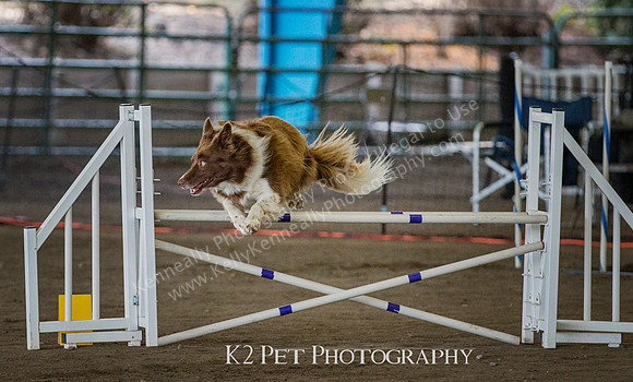 SCAC_Nov17Day3_09767