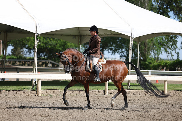 DAHA22_Thurs_0696
