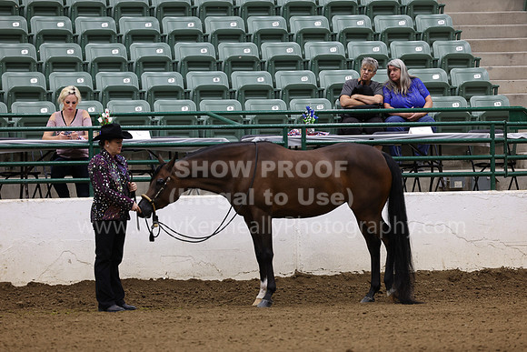 R322_CH_Thurs_2654