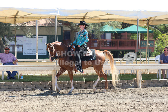 DAHA_FF22_5329