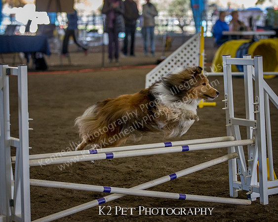 SCAC_Nov17Day3_8814