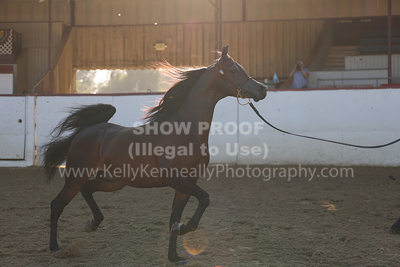R2_22_Thurs_6612