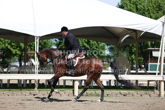 DAHA22_Thurs_0782
