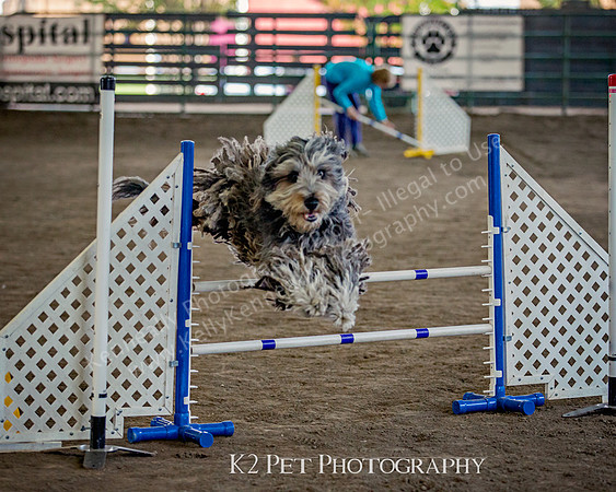 SCAC_Nov17Day3_11206