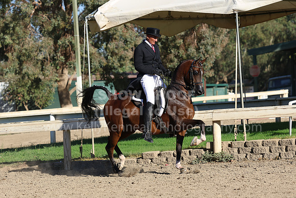 DAHA_FF22_1763