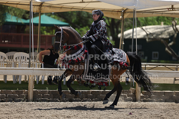 DAHA22_Thurs_1095