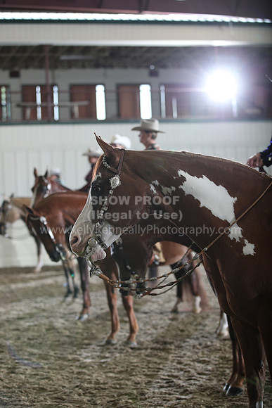 AHANC22_Thurs_0875