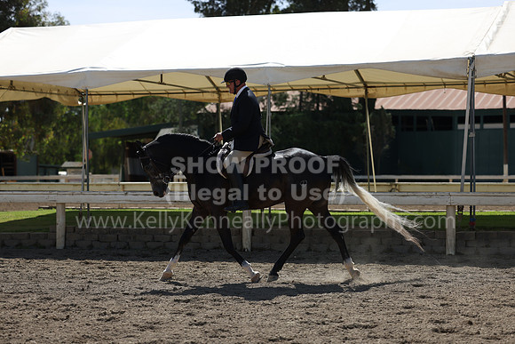 DAHA22_Thurs_0774