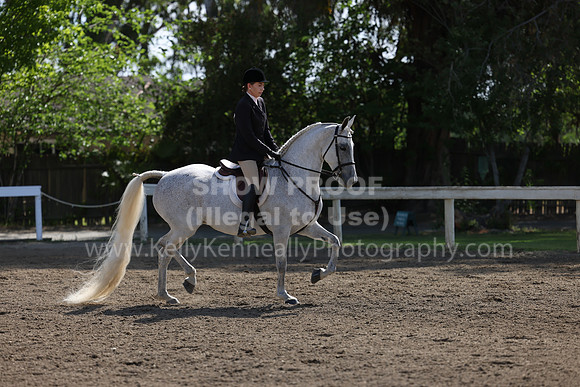 DAHA22_Thurs_0677