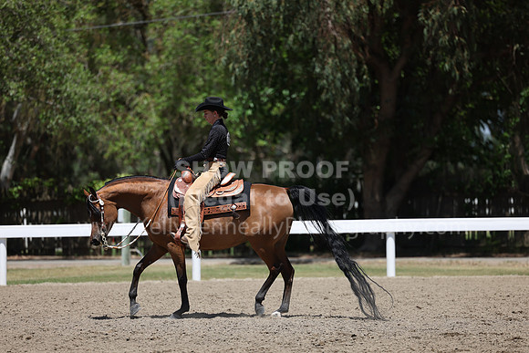 DAHA22_Thurs_1247