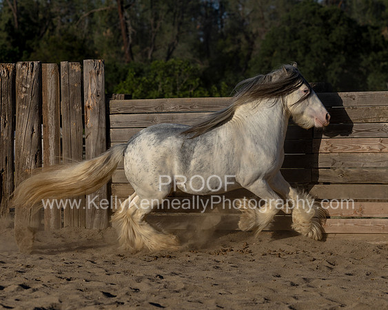 ThunderMay25_3374