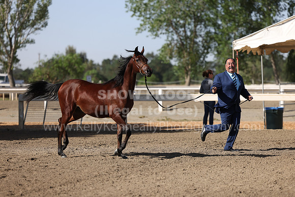 DAHA22_Fri_1590