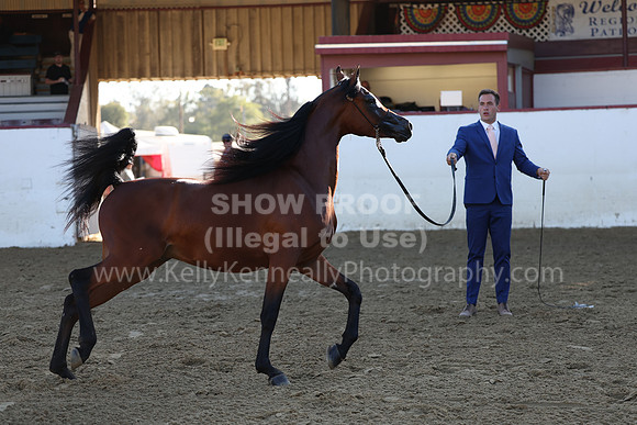 R2_22_Thurs_6441