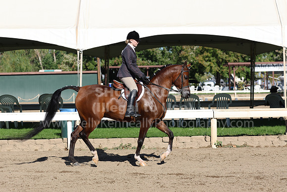 DAHA_FF22_2168