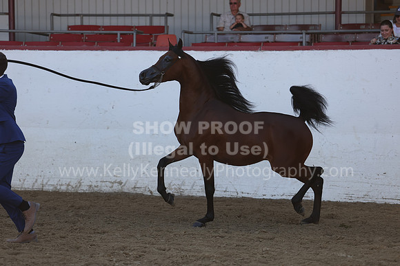 R2_22_Thurs_6396