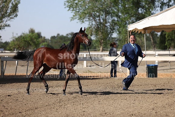 DAHA22_Fri_1591